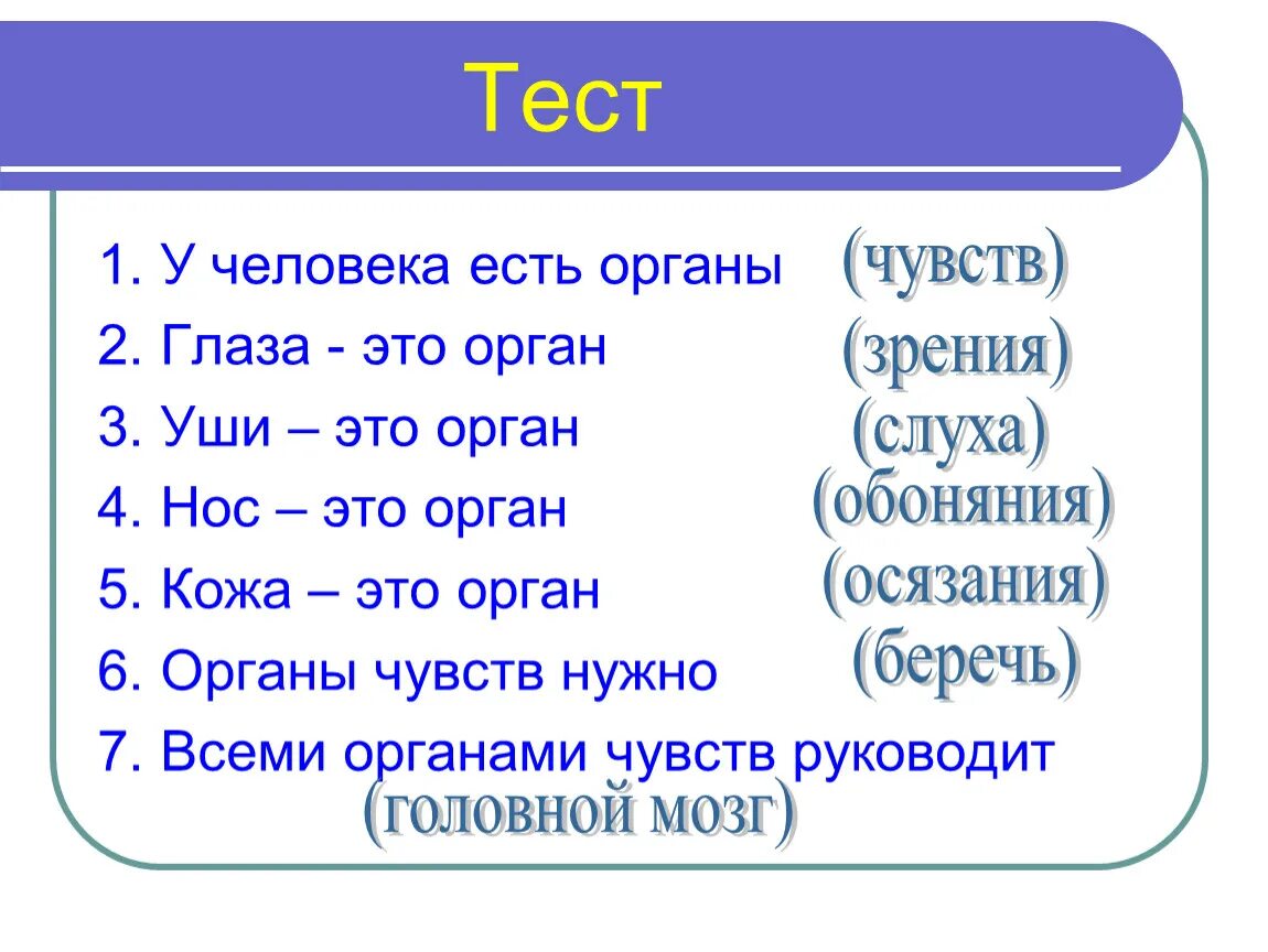 Органы чувств. 6 Органов чувств человека. Органы чувств человека 3 класс. Сколько органов чувств у человека.