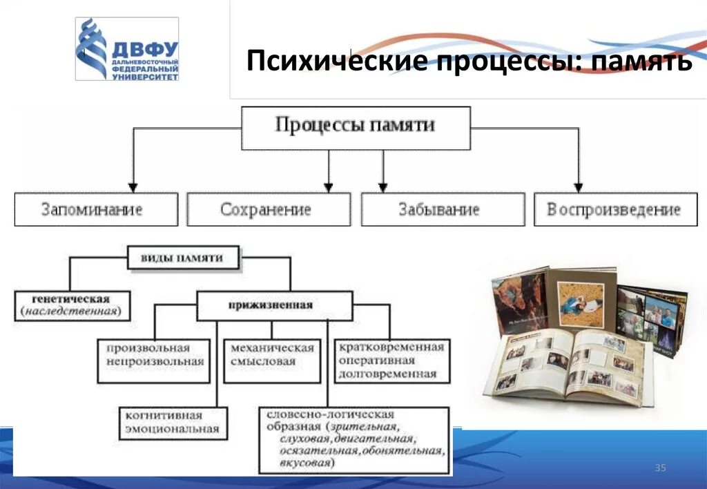 Мышление и речь. Познавательные процессы восприятие внимание память мышление. Мышление речь воображение. Память психический процесс. Психологические процессы память речь.