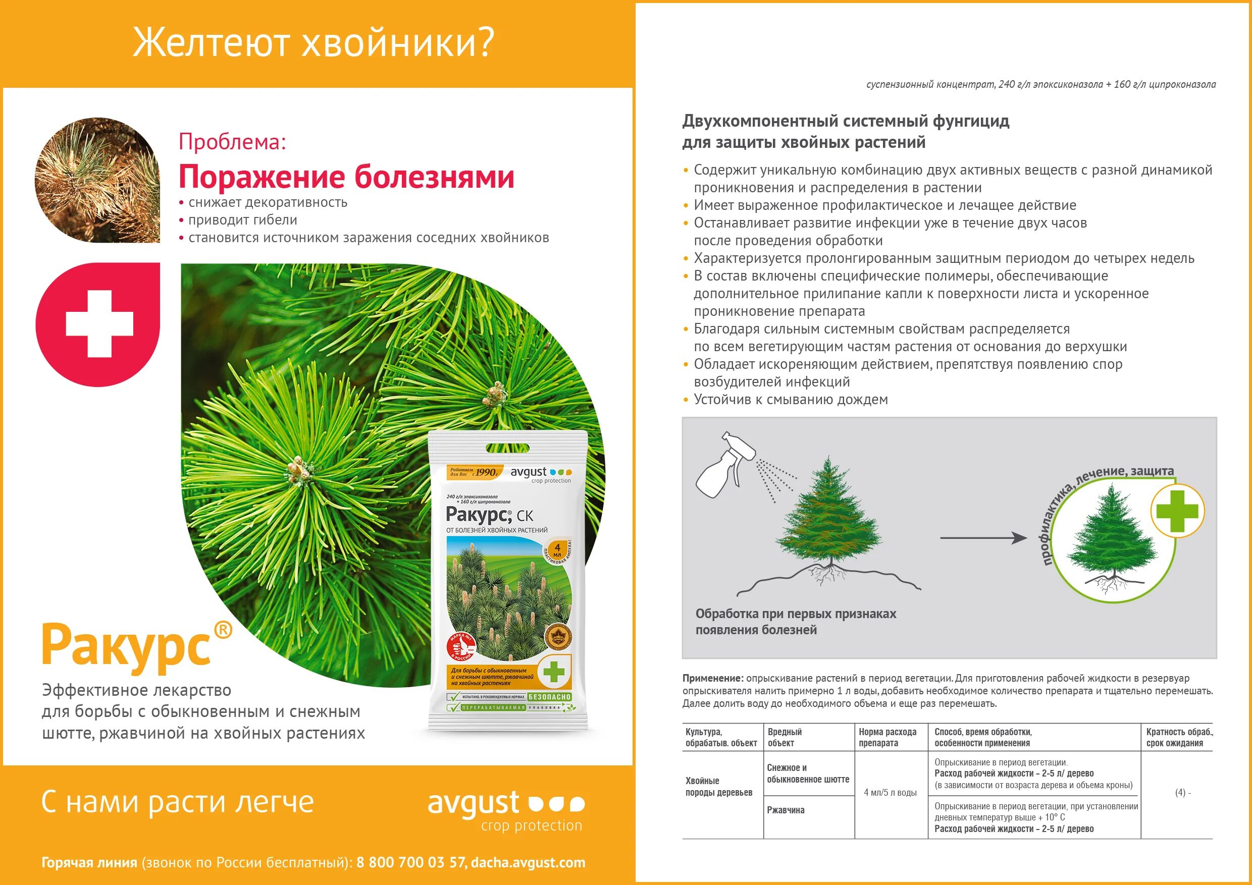 Ракурс 4мл.(от болезней хвойных). Avgust, Фитозонт,. Ракурс, для хвойных, 4 мл. Ракурс фунгицид для хвойных.