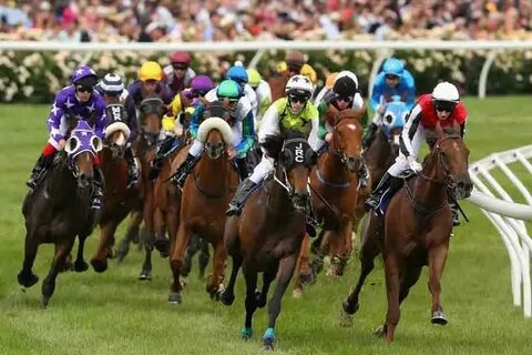 Live horse racing
