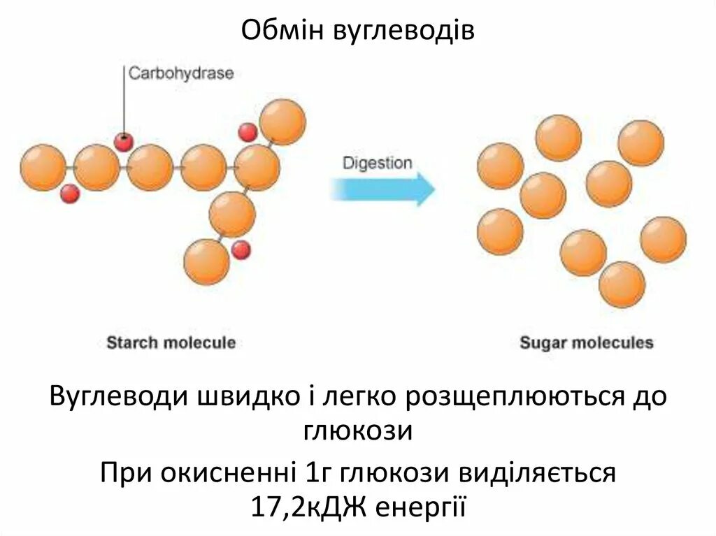 Ферменты секретируемые в кровь. Схема расщепления крахмала. Α-амилаза формула. Фермент амилаза формула. Альфа амилаза расщепляет крахмал до.