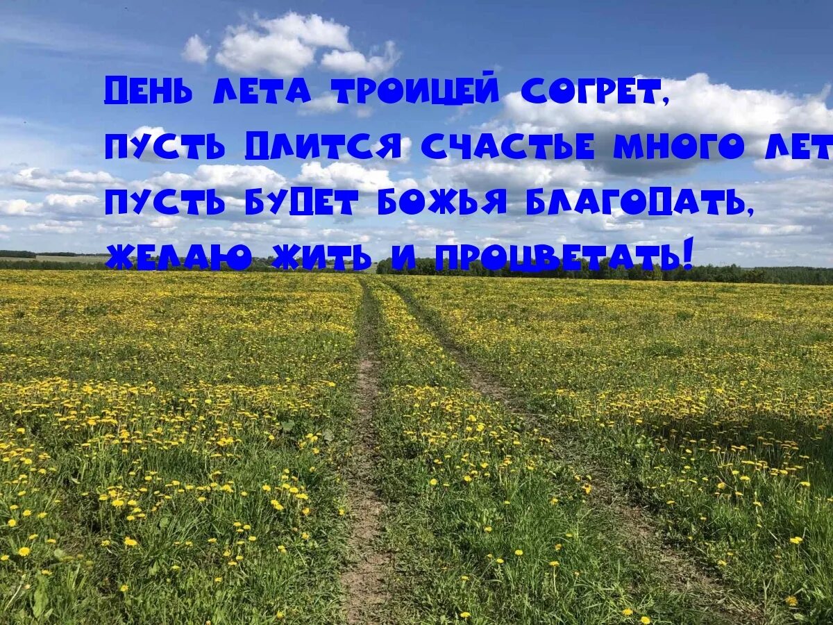 Летний день блок. Троицкие лето. Идём в лето картинки с надписями