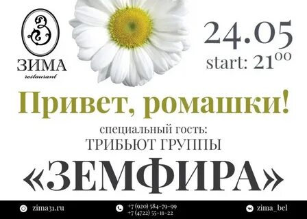 Песни земфиры привет ромашки