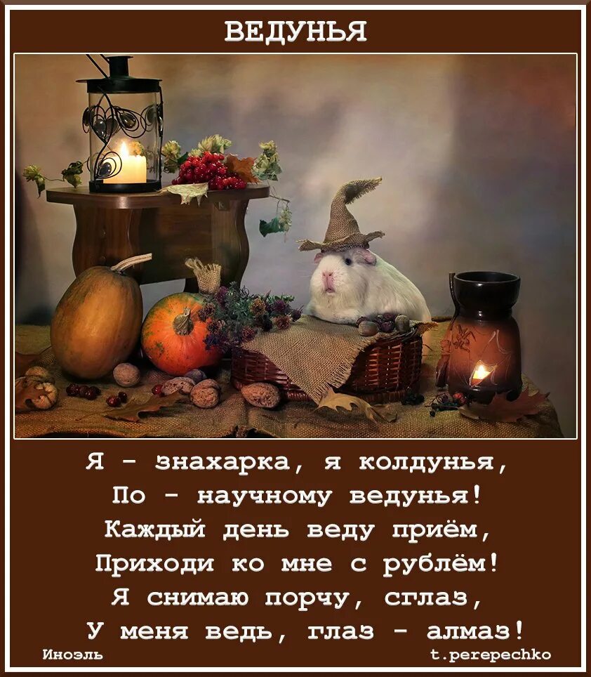 После знахарки. Ведуньи и знахарки. знахарка юмор. приколы про знахарок. советы ведуньи целительницы старинные.