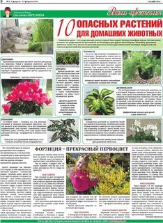 Какие опасные цветы