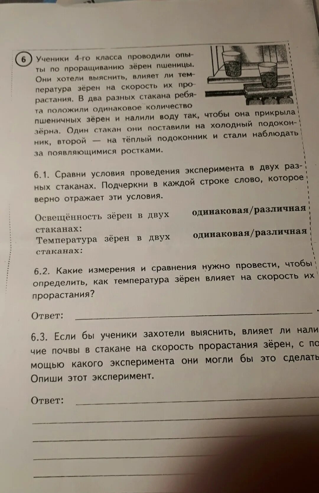 Какие измерения и сравнения нужно. Ученики 4-го класса проводили эксперимент,. Ученики проводили опыты. Ученики 4 класса проводили опыты.