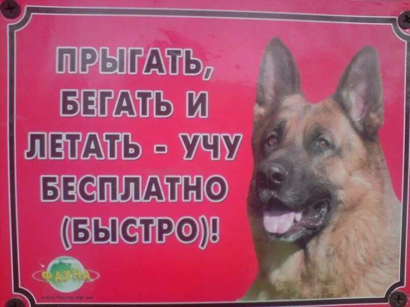 Ахтунг ахтунг ди дойчен