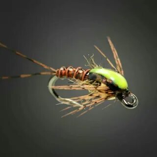 Fly but