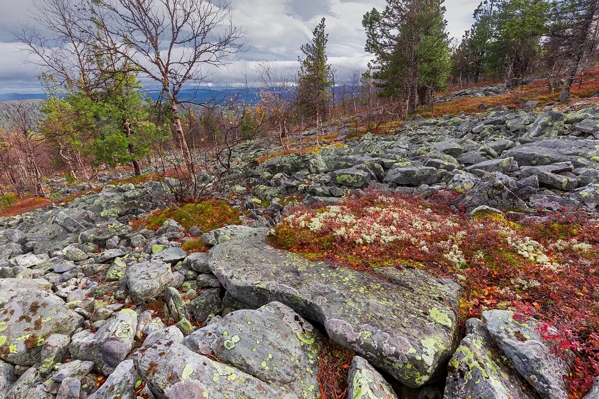 Гора Сосьвинский камень. Горная тундра Южного Урала. Карпинск Северный Урал. Сосьвинский камень с высоты.