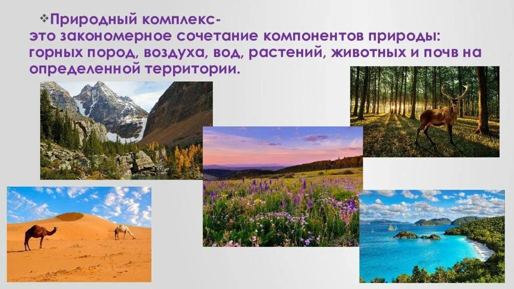 Разнообразие природных комплексов России. Природный территориальный комплекс. Презентация на тему природные комплексы. Природные комплексы картинки. Порядок природных комплексов начиная с самого большого