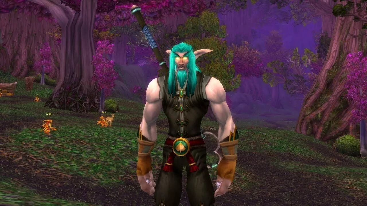 World of warcraft русский. Wow Classic 2004. Wow ночной Эльф screenshot. Ночной Эльф ворлд оф варкрафт Классик. World of Warcraft 2004 ночные эльфы.