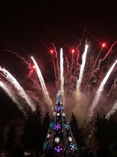 Елочка гори
