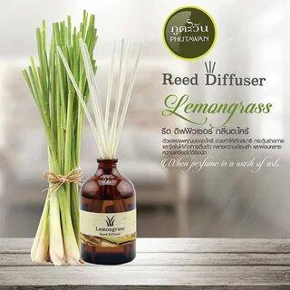 Диффузор лемонграсс