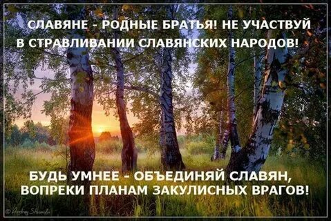 Братья славяне