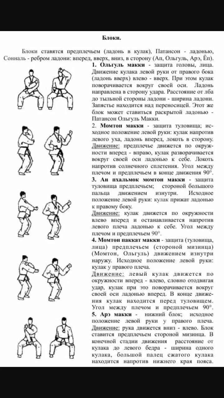 Название ударов в тхэквондо. Стойки, удары, блоки таэквондо итф. стойки тхэквондо с названиями и удары ногами. тхэквондо втф название блоков и ударов.
