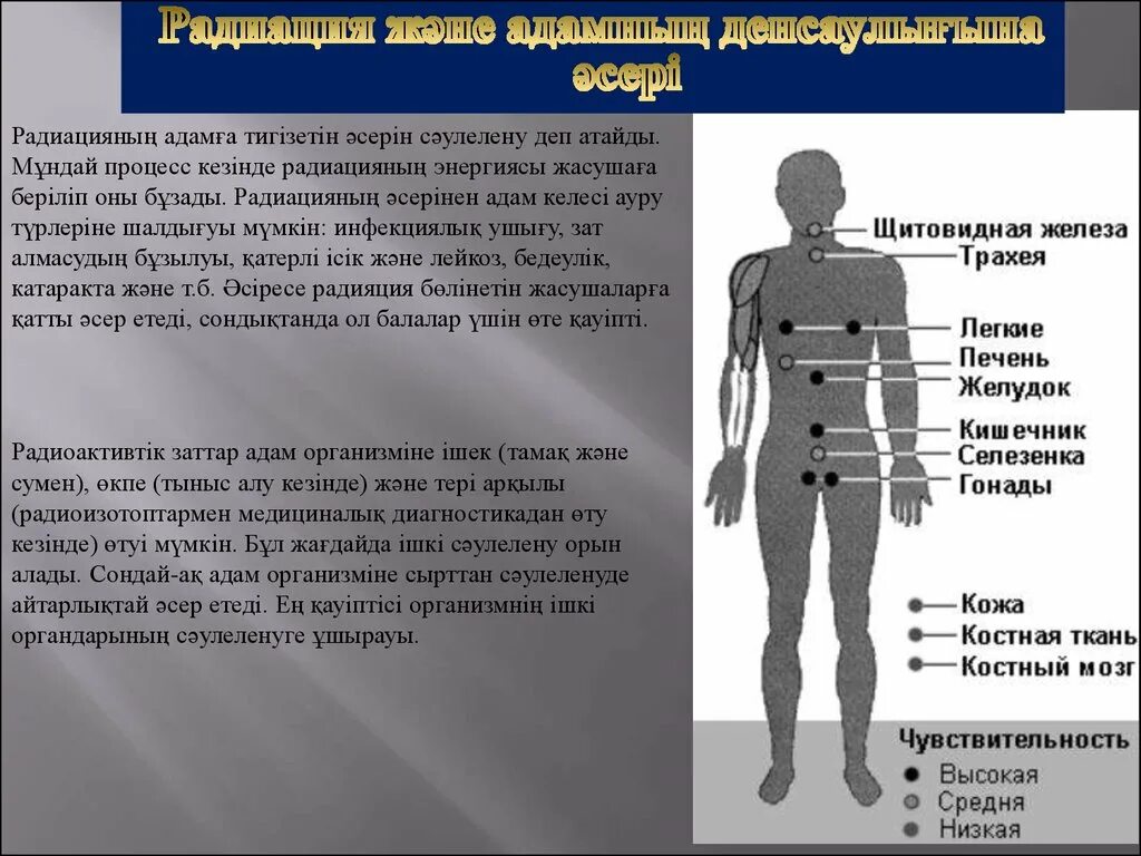 Действие радиационного излучения на организм человека. Влияние радиации на органы человека. Воздействие радиоактивного излучения на человека. Влияние радиационного излучения на организм.