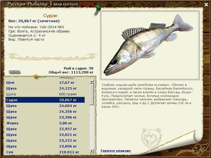 возраст судака. таблица возраста судака. судак размеры и вес. максимальный вес судака. судак рыба максимальный размер.