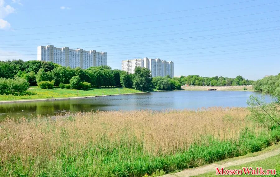 рядом с метро волжская