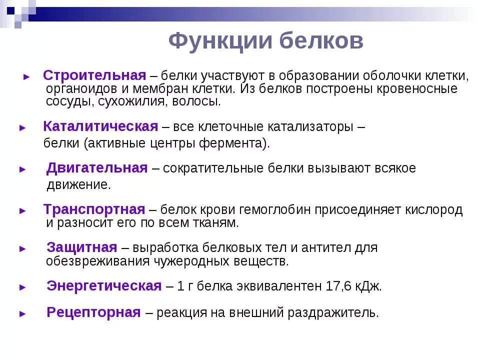 Какую функцию выполняют дне. Перечислите функции белков в организме человека. Перечислите основные функции белков в организме человека.. Перечислите биологические функции белков.