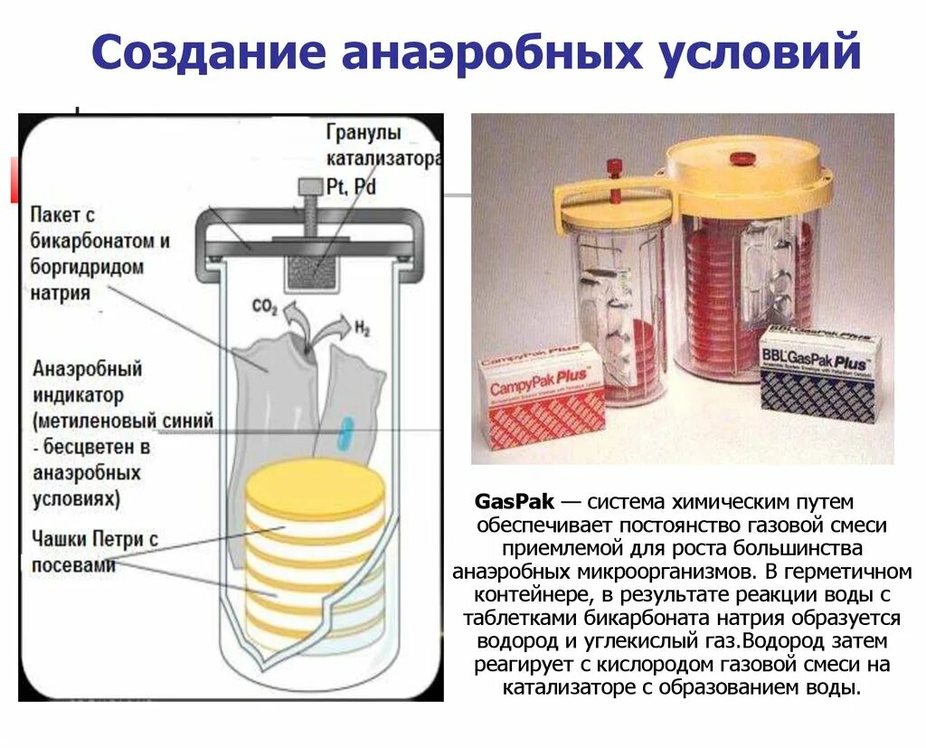 Методы выделения анаэробных микроорганизмов. Фищичеакий метод культивирование анаэробоы. Газовые пакеты для анаэробных условий. Методы создания анаэробных условий. Этапы анаэробных организмов