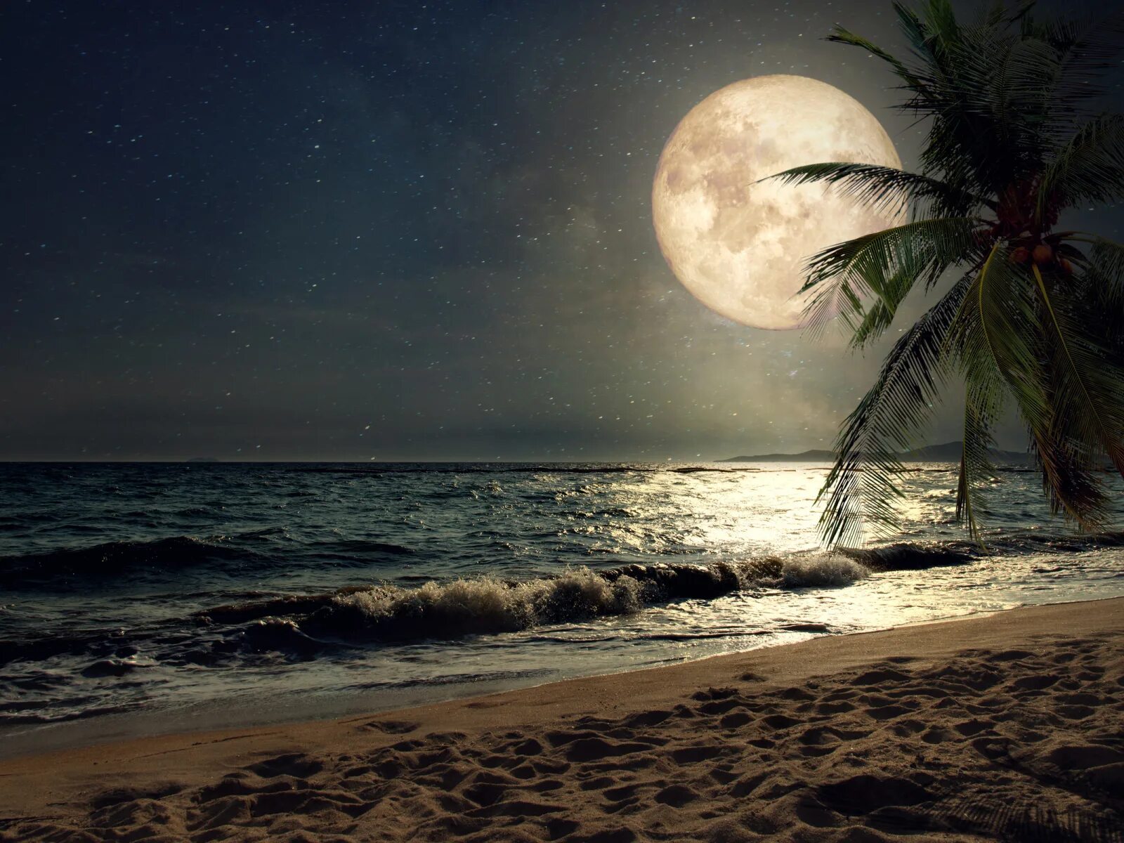 Сон берег. Сон берег. Воздух над морем. Девушка на берегу моря. Сон берег.