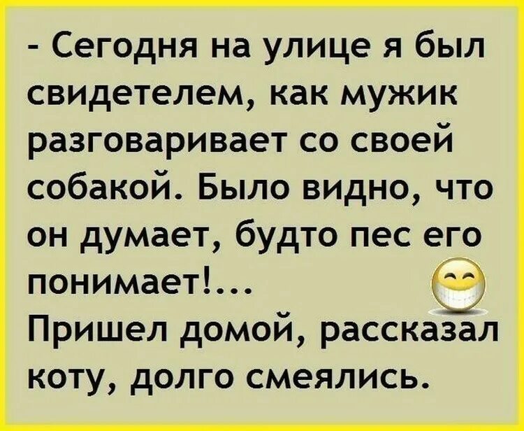 Анекдоты. Рассказал коту долго смеялись. Анекдоты про разговор. Рассказал коту долго смеялись анекдот.