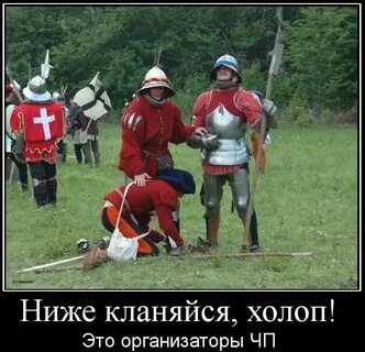 Пять звезд холоп