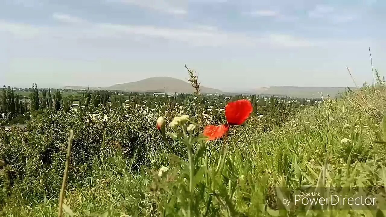 Воронцовка бишкек. Киргизия село воронцовка. село чуй киргизия. воронцовка санаторий бишкек.