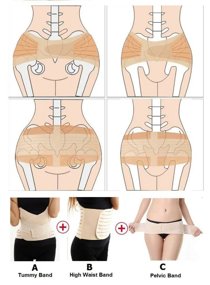 мужской и женский таз. форма входа в малый таз. упражнение поднимание таза. подъем таза лежа на спине. размеры входа в малый таз.