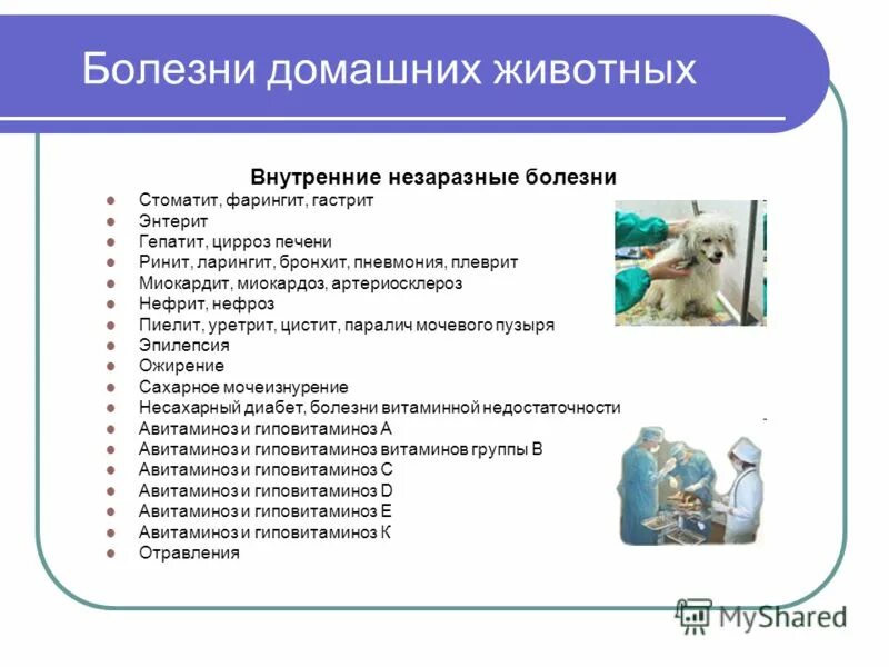 На какой день человек становится незаразным. На какой день человек становится незаразным