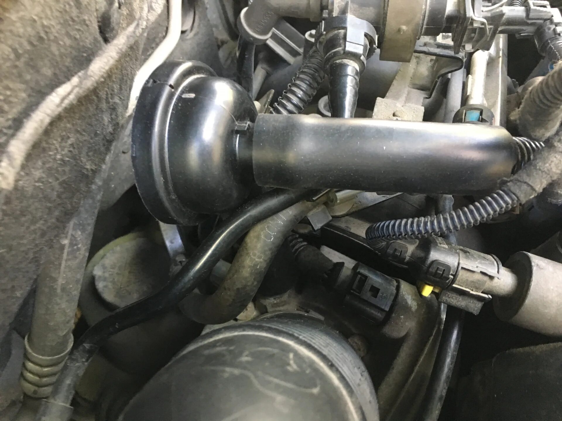 Порвался клапан вентиляции картерных газов Opel Astra h - Opel Astra H, 1,6 л, 2
