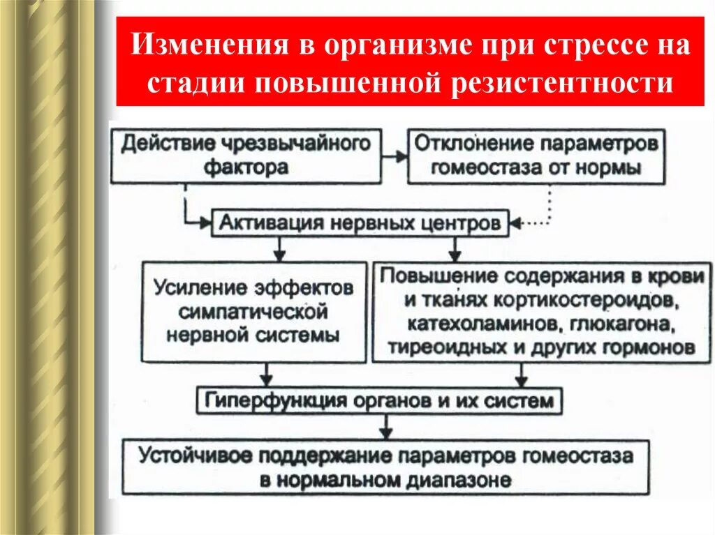 Изменения в организме при стрессе. Стадия резистентности механизмы. Схема патогенеза стресса. Патогенетические механизмы стресса. 27 поправка