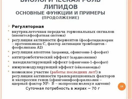 Какие системы выполняют регуляторную функцию