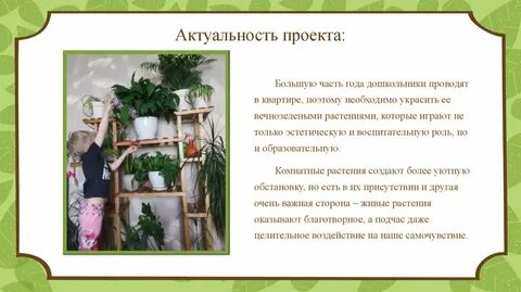 Проект комнатные растения 8 класс