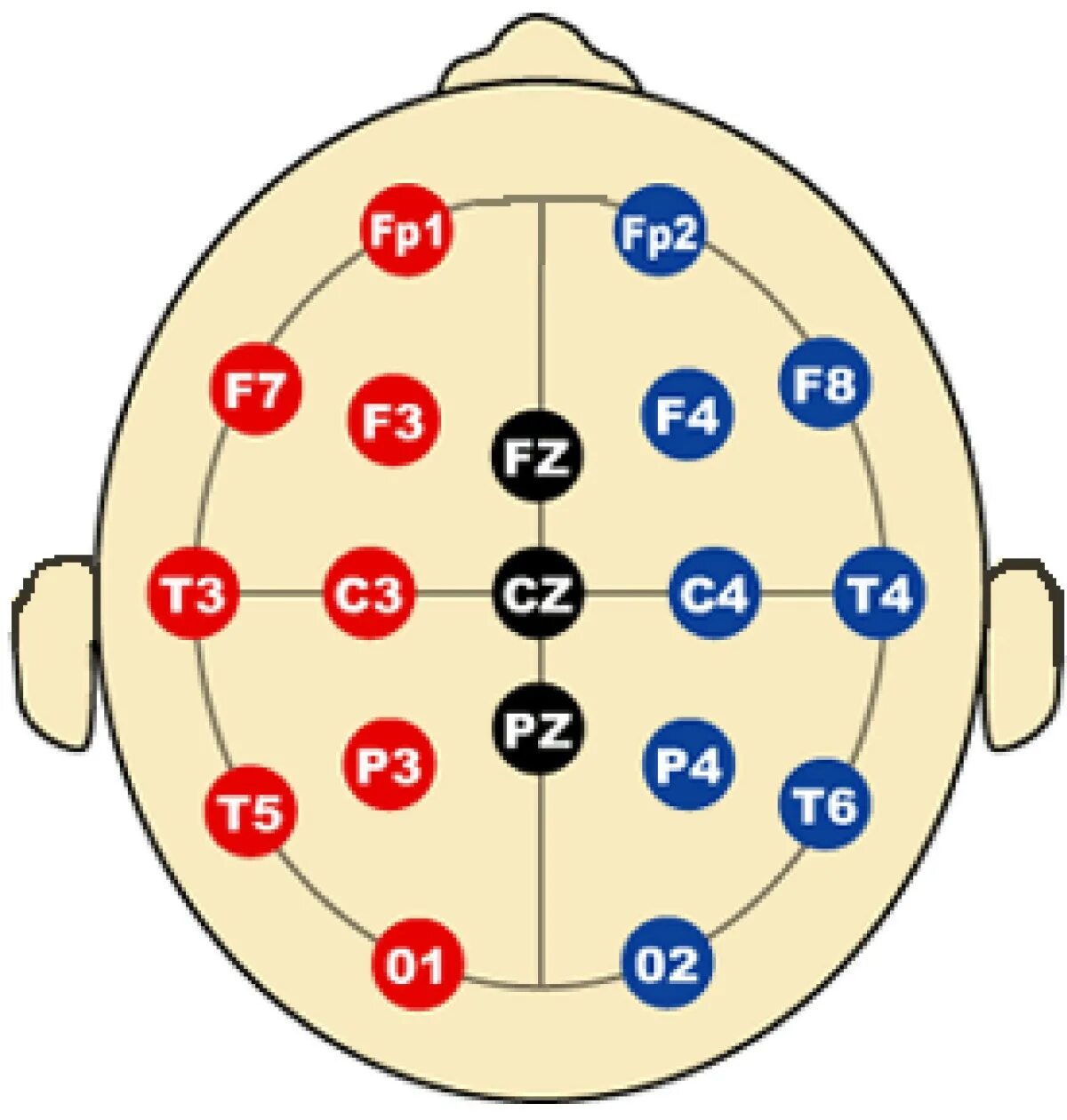 10-20 EEG. Схема наложения электродов при ЭЭГ 10-20. Схема 10-20 наложение электродов. ЭЭГ наложение электродов схема 10-20.