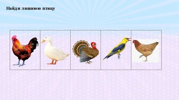 Укажи лишнюю птицу. Четвертый лишний зимующие птицы. Игра четвертый лишний зимующие птицы. Укажи лишнюю птицу. Четвертый лишний перелетные и зимующие птицы.