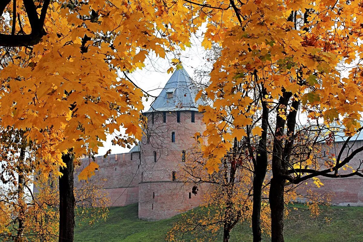 Детинец Великий Новгород осень. Осенний Великий Новгород. Новгородский Кремль Великий Новгород осенью. Нижний Новгород Кремль осень. Осень сайт великого новгорода