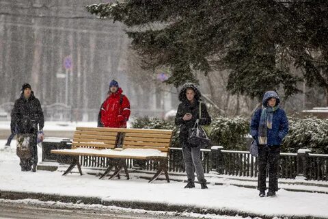 Погода зима будет