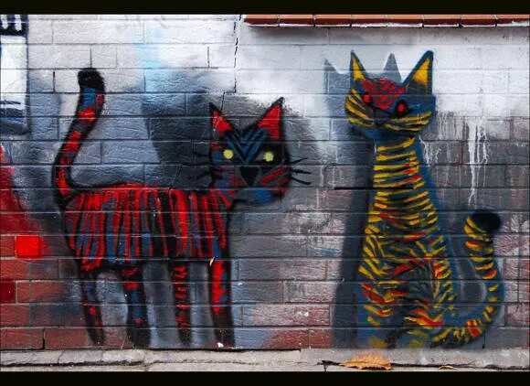 Urban cats