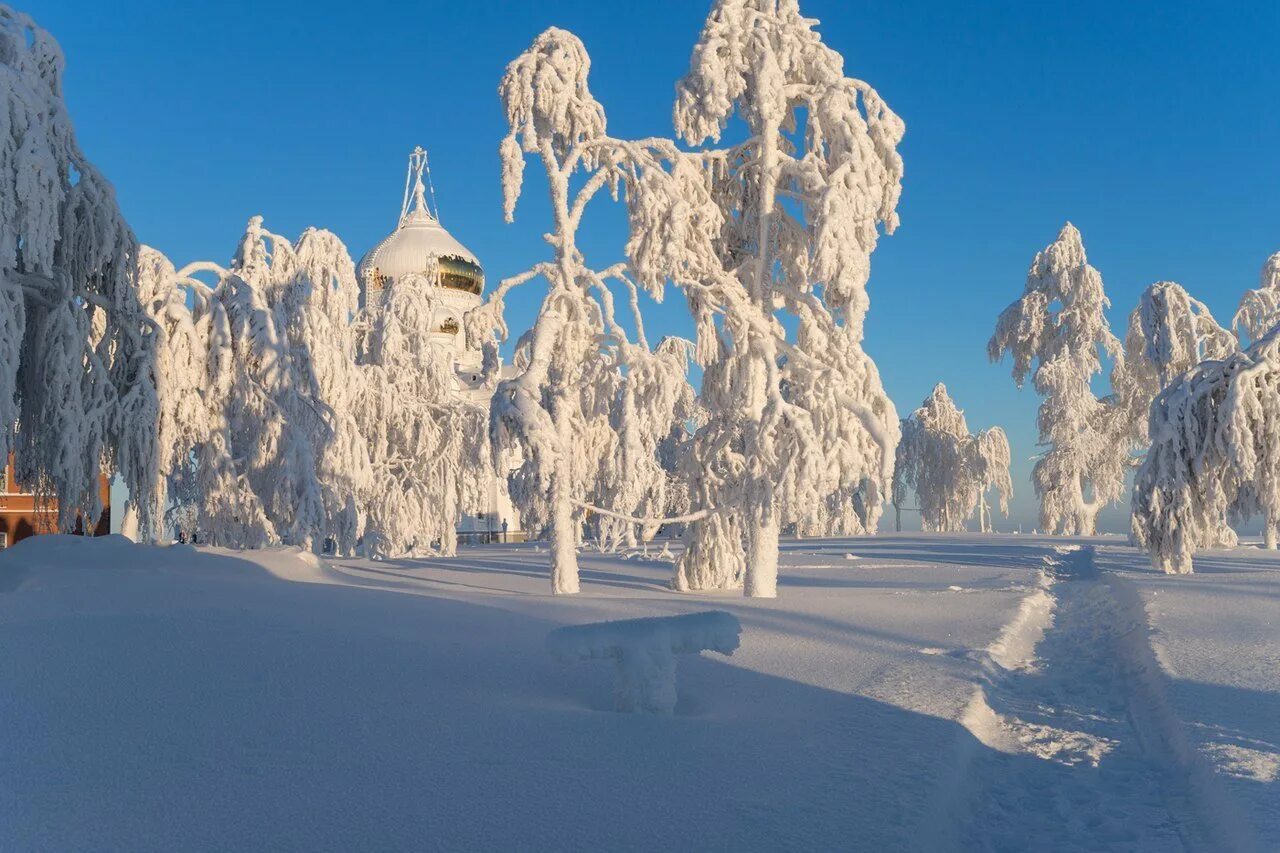 Снежка россия