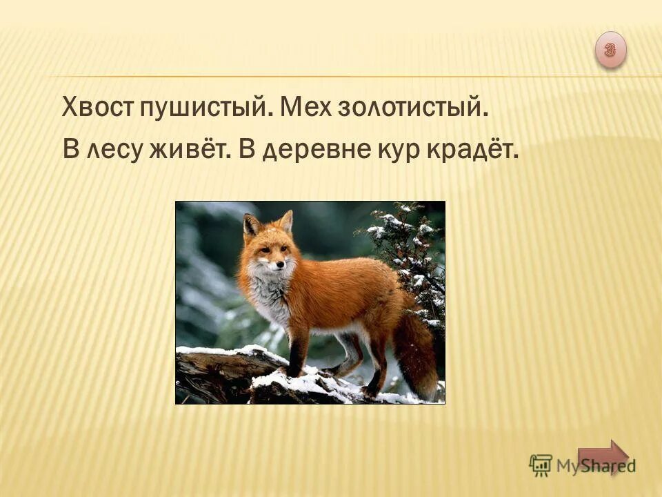 Предложение про лису. Найди лису ответы викторина. Ребус 1 класс ответы лиса. Загадка про лису. Бабушка лисица трём внучатам рукавицы:.