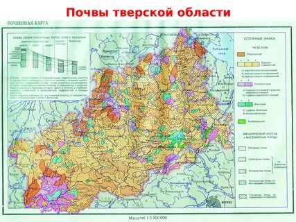 Тверская область ископаемые