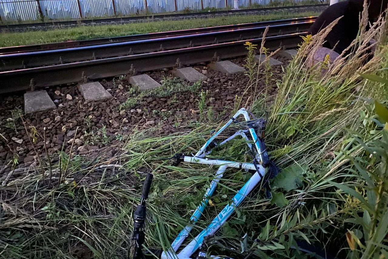 сбило электричкой в подмосковье.