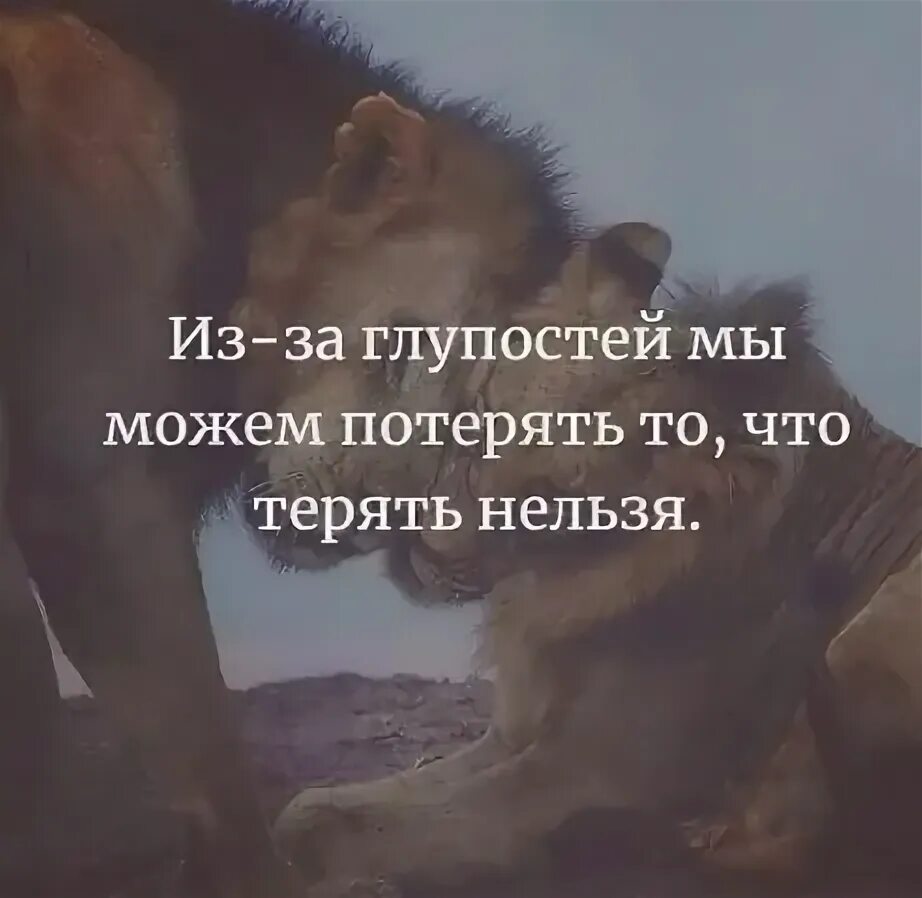 Что нельзя потерять на войне. Из за глупостей мы можем потерять то что терять нельзя. Люди теряют друг друга из за глупости. Что нельзя потерять. Иза глупостей МФ можем потреять то что нельзя терять.