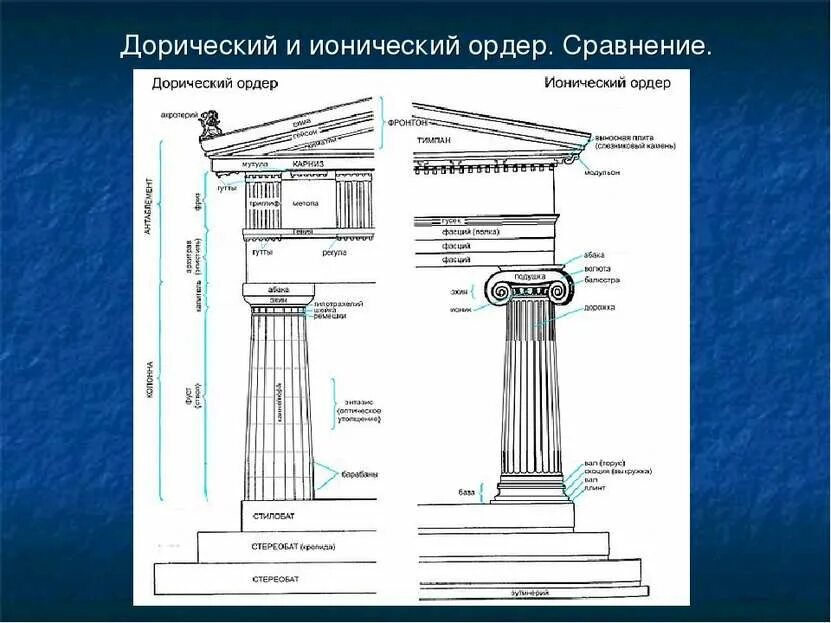 Международный ордер. Дорический ионический и Коринфский ордера. Ордерная система ( дорический, ионический, Коринфский ордера). Дорический ордер Парфенон. Дорический ордер Греция.