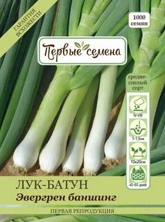 Лук батун название 7
