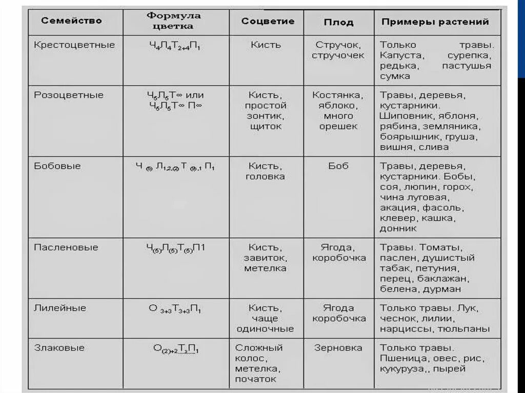 Семейства покрытосеменных таблица. Семейства цветковых растений таблица. Биология 7 класс таблица семейств. Таблица семейства цветковых растений 6 класс биология.