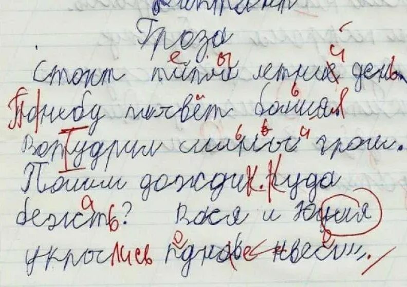 Много ошибок в произведении. Исправления в тетради. Описки в тетрадях. Диктант с ошибками. Диктант с ошибками для исправления.