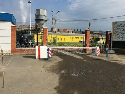Пту препона