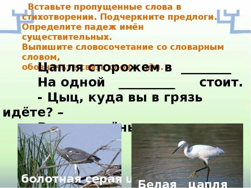 Слово болото. Словарная работа со словом болото. Болото словарное слово. Болота проверочное слово. Текст болото идет параллельно